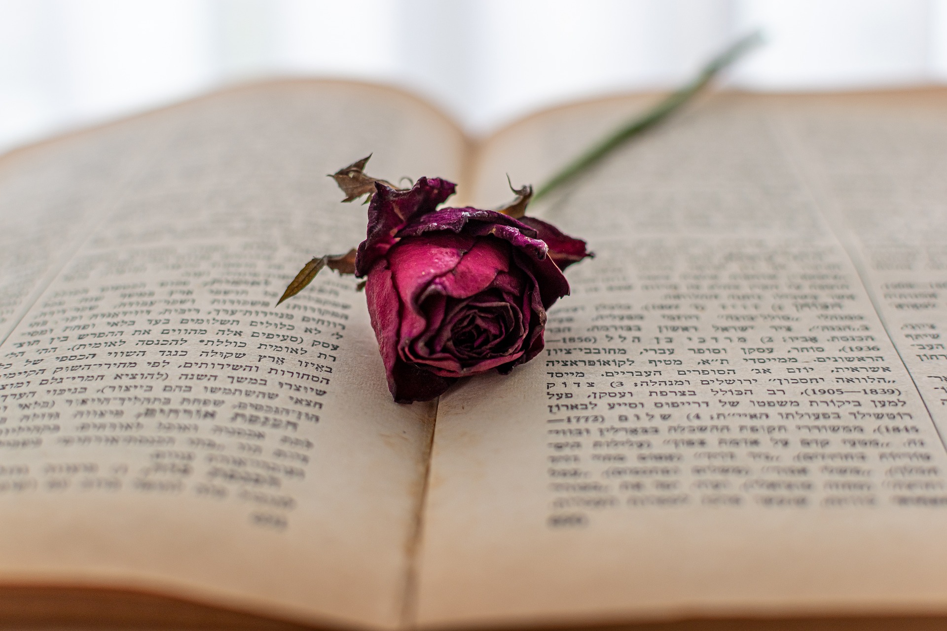 Уроки иврита